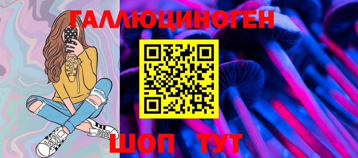 Будённовск  Псилоцибиновые грибы GOLDEN TEACHER  Вход с VPN 