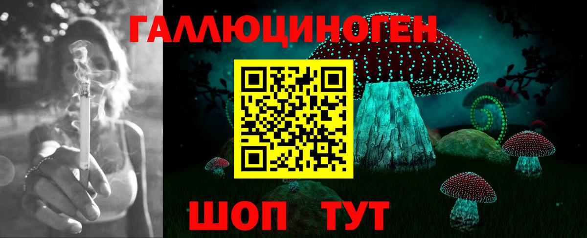 Псилоцибиновые грибы Magic Shrooms Будённовск